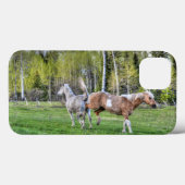 Sluitend palomineverf en witte paarden, paardenlie Case-Mate iPhone case (Achterkant (horizontaal))