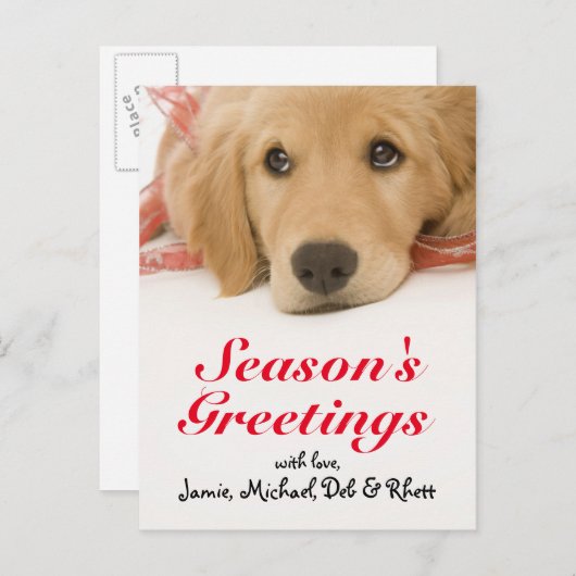 Sluiting Golden Retriever puppy met lint Briefkaart (Voorkant / Achterkant)