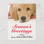 Sluiting Golden Retriever puppy met lint Briefkaart (Voorkant)