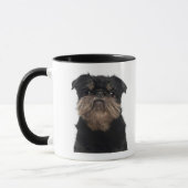 Sluiting Griffon Bruxellois Mok (Links)