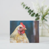 Sluiting kuikens briefkaart (Staand voorkant)