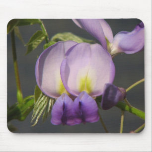 Sluiting Paarse Wisteria Muismat
