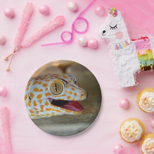 Sluiting portret van Tokay gecko in TulaZoo Papieren Bordje (Feest)