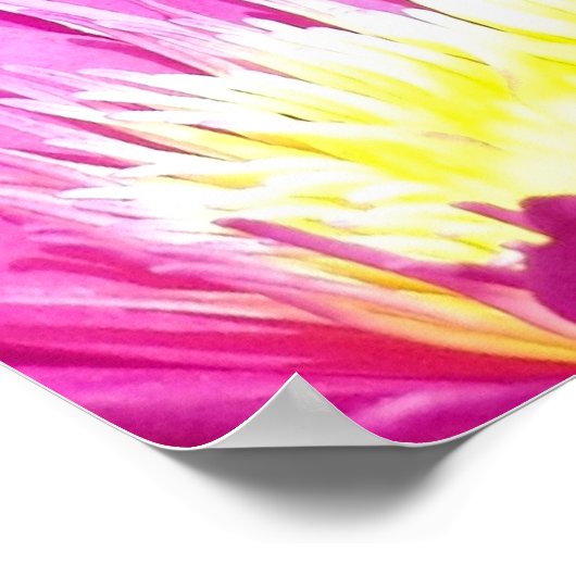 sluiting poster (Hoek)