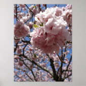 Sluiting Sachura Blossom - Kyoto Poster (Voorkant)