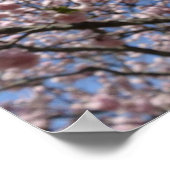 Sluiting Sachura Blossom - Kyoto Poster (Hoek)