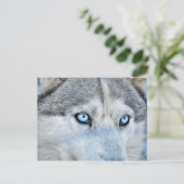 Sluiting Siberian Husky met Blue Eyes Briefkaart (Staand voorkant)