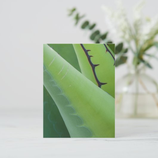 Sluiting van Agave Briefkaart (Staand voorkant)