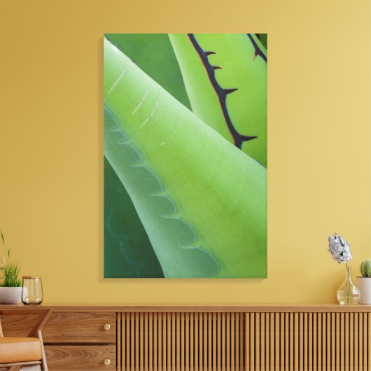Sluiting van Agave Canvas Afdruk (Insitu (Woonkamer))