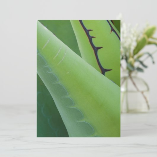 Sluiting van Agave Kaart (Staand voorkant)