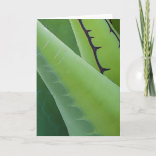 Sluiting van Agave Kaart