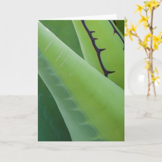 Sluiting van Agave Kaart (Gele Bloem)