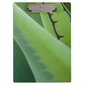 Sluiting van Agave Klembord (Voorkant)