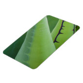 Sluiting van Agave Magneet (Linkerzijde)