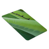 Sluiting van Agave Magneet (Rechterzijde)