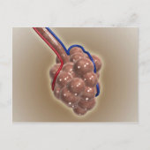 sluiting van Alveolus Briefkaart (Voorkant)