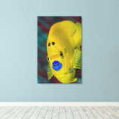 Sluiting van Angelfish Canvas Afdruk (Insitu (Houten vloer))