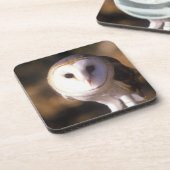 "Sluiting van Barn Owl, Land between Lakes, KY" Drankjes Onderzetter (Linkerzijde)