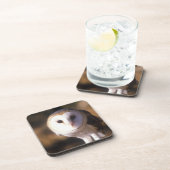 "Sluiting van Barn Owl, Land between Lakes, KY" Drankjes Onderzetter (Rechterzijde)