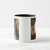 "Sluiting van Barn Owl, Land between Lakes, KY" Mok (Midden)