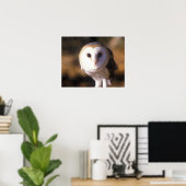 Sluiting van Barn Owl, Land between Lakes, KY Poster (Thuiskantoor)