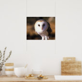 Sluiting van Barn Owl, Land between Lakes, KY Poster (Keuken)