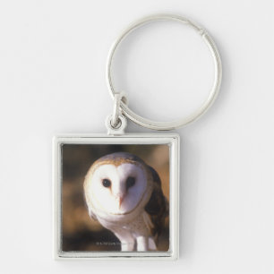 "Sluiting van Barn Owl, Land between Lakes, KY" Sleutelhanger