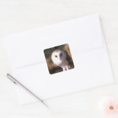 Sluiting van Barn Owl, Land between Lakes, KY Vierkante Sticker (Envelop)