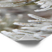 Sluiting van bevroren dennenkegel, geelsteen poster (Hoek)