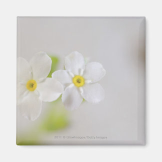 Sluiting van bloemen magneet