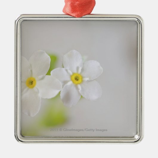 Sluiting van bloemen metalen ornament (Voorkant)