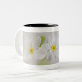 Sluiting van bloemen tweekleurige koffiemok (Voorkant links)