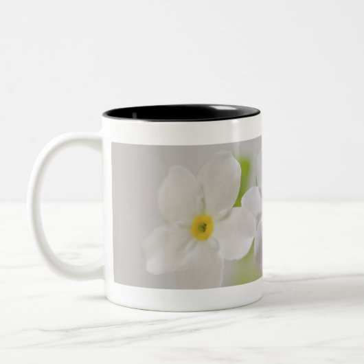 Sluiting van bloemen tweekleurige koffiemok (Links)