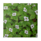 Sluiting van bunchberry met witte bloemen tegeltje (Voorkant)