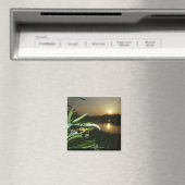 Sluiting van Butterfly op blad bij zonsondergang Magneet (Insitu (Vaatwasser))