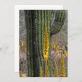 Sluiting van Cactus en Agave Bedankkaart (Voorkant / Achterkant)