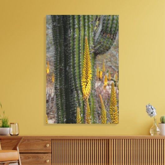 Sluiting van Cactus en Agave Canvas Afdruk (Insitu (Woonkamer))