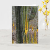 Sluiting van Cactus en Agave Kaart (Gele Bloem)
