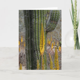 Sluiting van Cactus en Agave Kaart