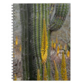 Sluiting van Cactus en Agave Notitieboek (Voorkant)