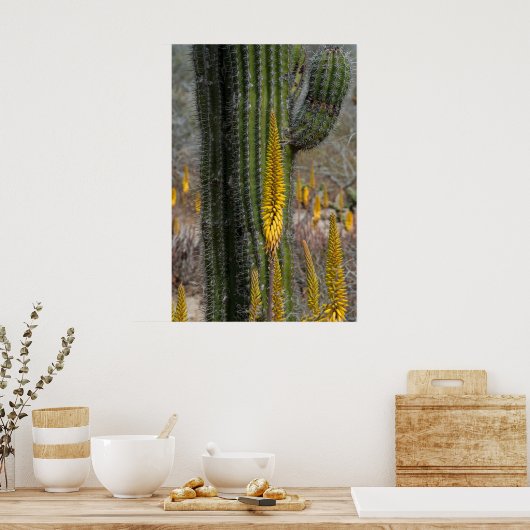Sluiting van Cactus en Agave Poster (Keuken)