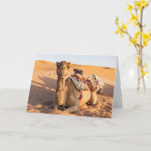 Sluiting van Camel in de woestijn van Oman Kaart (Gele Bloem)