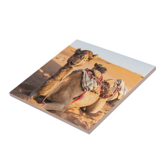 Sluiting van Camel in de woestijn van Oman Tegeltje (Zijkant)