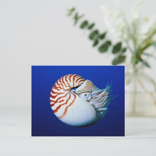 Sluiting van Chambered Nautilus Briefkaart (Staand voorkant)