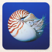 Sluiting van Chambered Nautilus Kartonnen Onderzetters (Voorkant)