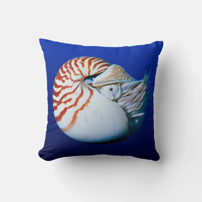 Sluiting van Chambered Nautilus Kussen (Voorkant)