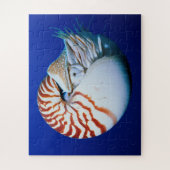 Sluiting van Chambered Nautilus Legpuzzel (Verticaal)