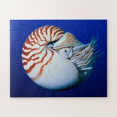 Sluiting van Chambered Nautilus Legpuzzel (Horizontaal)