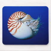 Sluiting van Chambered Nautilus Muismat (Voorkant)