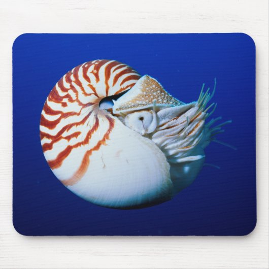 Sluiting van Chambered Nautilus Muismat (Voorkant)